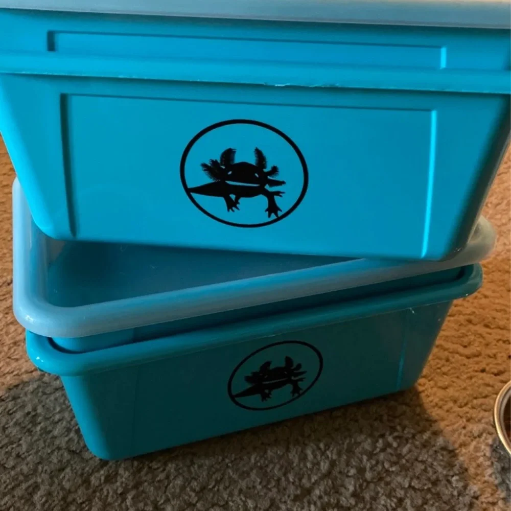 Worm farms (empty)